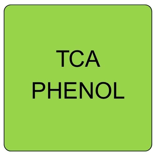 TCA
